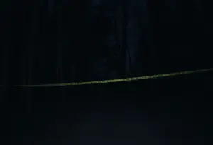 Wooded area related to Cleveland assault case